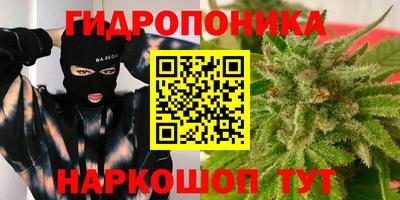 твердый Гусев