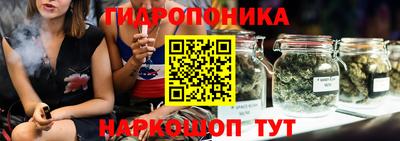 твердый Гусев