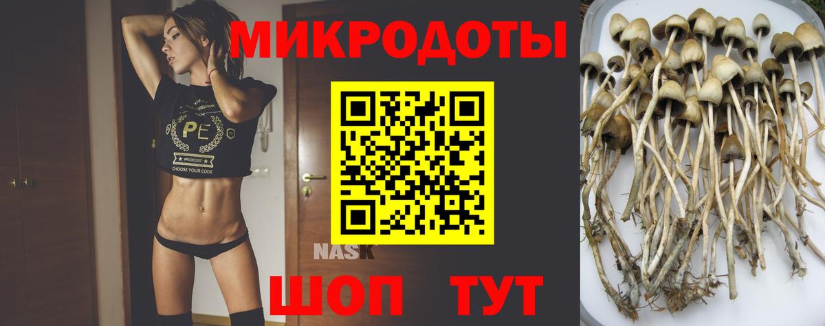 дарнет шоп  Галлюциногенные грибы Psilocybine cubensis  Вход с VPN  Нижний Тагил 